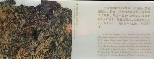 图(tú)片4.png XPJ